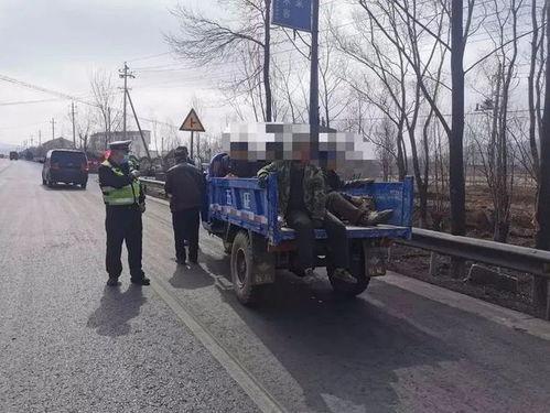 国产春耕车视频,国产春耕车助力农业生产现代化