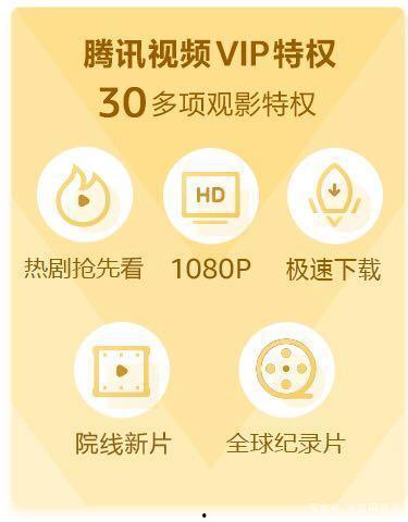 国产 vip 视频