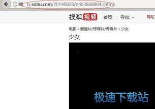 国产 vip 视频  第2张